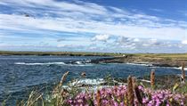 Galway | na serveru Lidovky.cz | aktuální zprávy