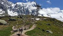 Osel pod Aiguille du Midi | na serveru Lidovky.cz | aktuální zprávy