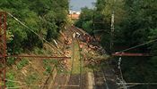 Francouzsk drhy uvedly, e vlak s vce ne 200 cestujcmi narazil do stromu...