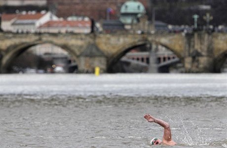 Plavec ve Vltav, ilustraní foto