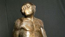 3D model australopitéka zvaného Lucy. | na serveru Lidovky.cz | aktuální zprávy