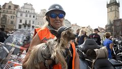 Harley Davidson vak není pouze výrobcem motocykl, ale pedevím...