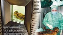 Ötziho ostatky nalezené v roce 1991 na italsko-rakouské hranici, jsou dnes... | na serveru Lidovky.cz | aktuální zprávy