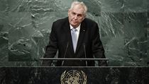 Zeman káral světové společenství za nedostatek aktivity v boji proti... | na serveru Lidovky.cz | aktuální zprávy