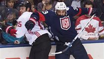 Dustin Byfuglien | na serveru Lidovky.cz | aktuální zprávy