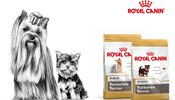 Sout o granule Royal Canin