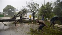 Lid na Haiti odstrauj ze silnic popadan stromy.