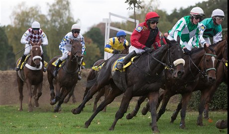 Do letoní Velké pardubické neodstartoval.