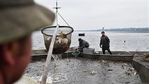 Rybi zahjili 14. jna tdenn vlov nejvtho eskho rybnku Romberk u...