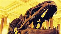 Kostra dinosaura - ilustrační foto | na serveru Lidovky.cz | aktuální zprávy