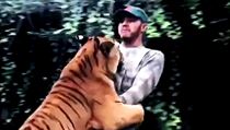 Tygr a Lewis Hamilton při svých hrátkách. | na serveru Lidovky.cz | aktuální zprávy