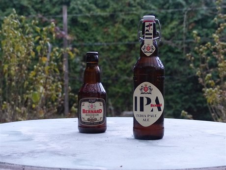 Svrchn kvaená piva od Bernarda - Bohemian Ale a IPA.