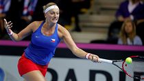 Petra Kvitová ve finále Fed Cupu. | na serveru Lidovky.cz | aktuální zprávy