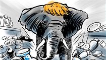 Donald Trump. Donald Trump.