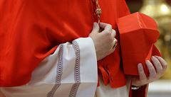 Kardinál pi obadu drel kardinálský tícípý biret.