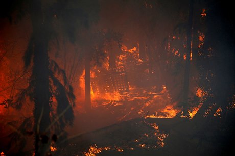 Podle premiéra Benjamina Netanjahua zem elí vln háského teroru.