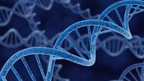 DNA DNA