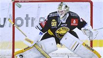 Utkání 25. kola hokejové extraligy Bílí Tygři Liberec - HC Verva Litvínov 27.... | na serveru Lidovky.cz | aktuální zprávy