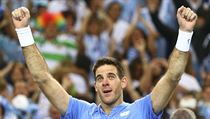 Juan Martn Del Potro otoil stav 0:2 a Marina ilie po tm pti hodinch...