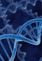 Čeští vědci vytvořili umělý přepínač DNA. Může pomoci v boji s nemocemi DNA | na serveru Lidovky.cz | aktuální zprávy