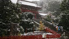 intoistická svatyn Tsurugaoka Hachimang v Kamakue. I sem dorazil listopadový...