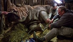 Kategorie Píroda a vda, série: Ambulance v zoo. Czech Press Photo 2016.