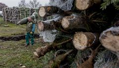 Firma Baobab napíklad vlastní rozsáhlé plantáe na Vysoin.