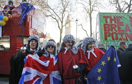 Protestující ped britským nejvyím soudem, kteí chtjí zstat v EU, v dob...