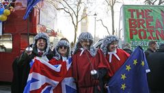 Protestující ped britským nejvyím soudem, kteí chtjí zstat v EU, v dob...