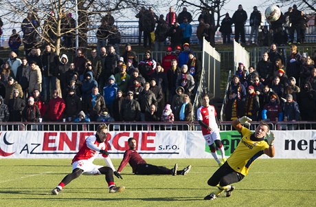 Jaromír Blaek dostal od Slavie sedm branek, hodn gól ale lapil.