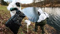 V České republice je skoro po desetiletí potvrzen případ ptačí chřipky. | na serveru Lidovky.cz | aktuální zprávy