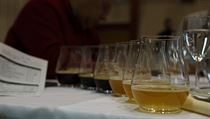 Degustace při World Beer Idol 2017 | na serveru Lidovky.cz | aktuální zprávy