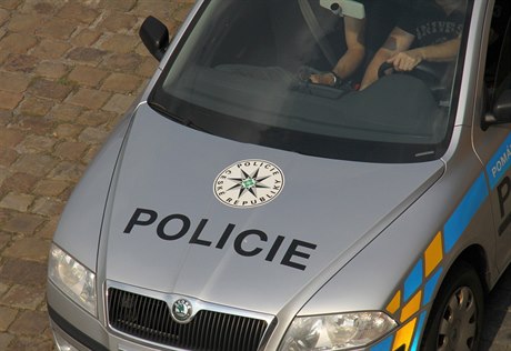 Policie- ilustraní