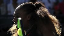 Amerianka Serena Williamsov v semifinle Australian Open.