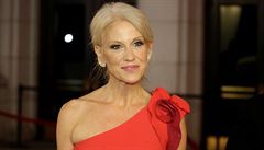 Kellyanne Conwayová pomáhala Donaldu Trumpovi s kampaní.