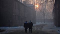 Peiví holokaustu v ulikách Osvtimi-Birkenau