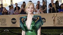 Actress Nicole Kidman arrives at the 23rd Screen Actors Guild Awards in Los...