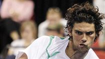 Někdejší finalista Wimbledonu Mark Philippoussis | na serveru Lidovky.cz | aktuální zprávy