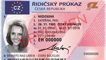 Vzor řidičského průkazu. | na serveru Lidovky.cz | aktuální zprávy
