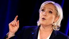 Marine Le Penová, europoslankyn a pedsedkyn strany National Front (FN)