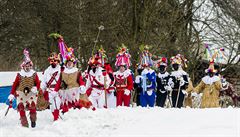 Návtvníci mli monost zhlédnout obchzku makar, která je souástí svtového...