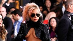 Zpvaka Lagy Gaga v odváném modelu