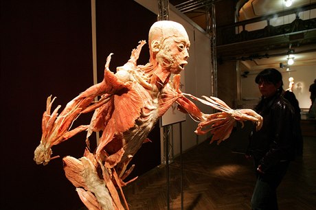 Jeden z exponát na výstav Bodies v roce 2007.