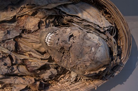 Exhumovaná mrtvola (Ilustraní foto)