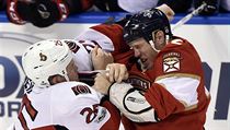 Shawn Thornton (vpravo) nestrp, kdy se do Jaromra Jgra nkdo pust.