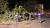 Hasiči odklízejí spadlý strom uprostřed města Chebu. | na serveru Lidovky.cz | aktuální zprávy