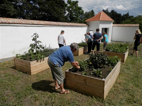 Nevyuitá prázdná plocha za zámkem se zmnila v kvtinovou a bylinkovou...