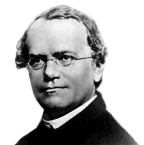 Gregor Johann Mendel