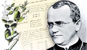 Opatství bude vystavovat slavný Mendelův rukopis Gregor Johann Mendel | na serveru Lidovky.cz | aktuální zprávy