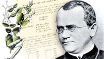Gregor Johann Mendel Gregor Johann Mendel